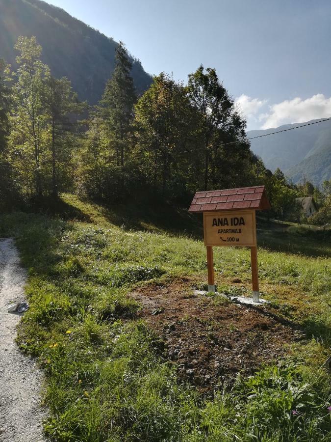 Apartma Ana Ida Srpenica Bagian luar foto