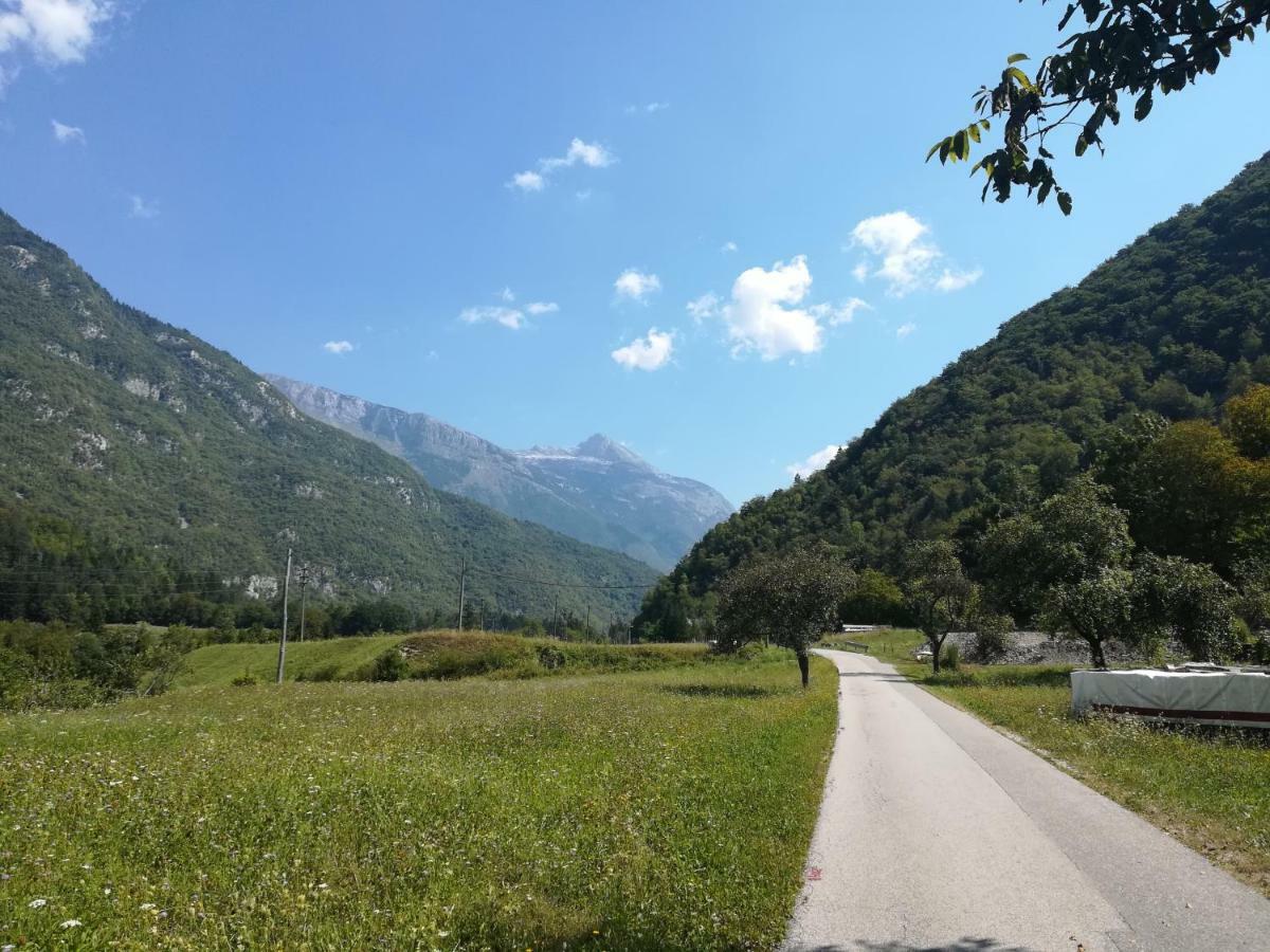 Apartma Ana Ida Srpenica Bagian luar foto