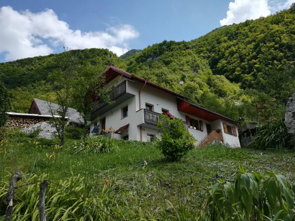 Apartma Ana Ida Srpenica Bagian luar foto