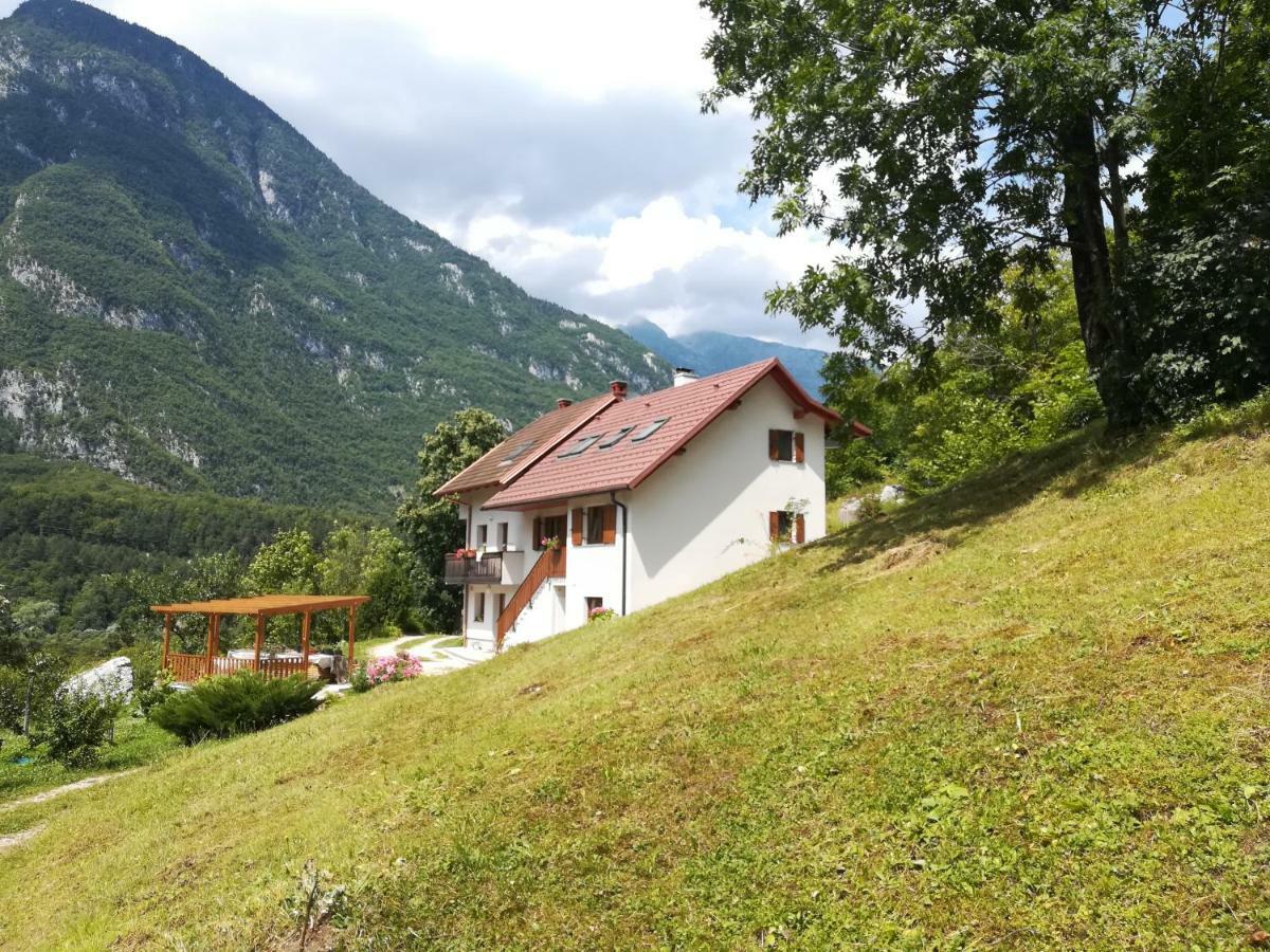 Apartma Ana Ida Srpenica Bagian luar foto